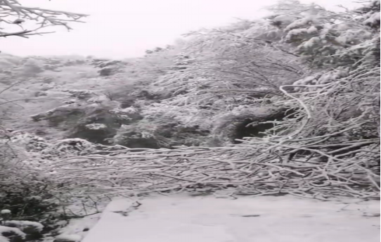 戰(zhàn)暴雪、保供電！湖南發(fā)展鳥兒巢公司應(yīng)對(duì)極端天氣緊急搶修失電故障